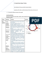 Workbook Activity #22: Special Sense Organ: The Eye: Tissue Structure Function Drawing