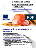 Introdução A Seg. Do Trabalho Tarsila Junho 2015