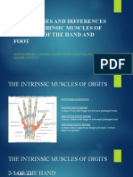 Anatomy Seminar Week 8