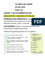 ACTIVIDADES DEL   JUEVES 11 DE NOVIEMBRE DE  2021 DE 3°B