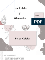 Bioligia Pared Celular y Glucocalix