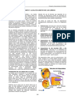 Transporte y almacenamiento de lípidos en plasma