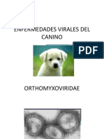 Enfermedades Virales Del Canino