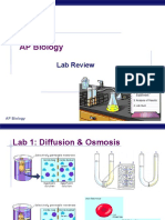 AP Lab Review (KF)