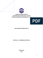 Relatório 02 - Polímeros Sintéticos