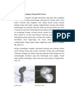 Embriologi Perbandingan