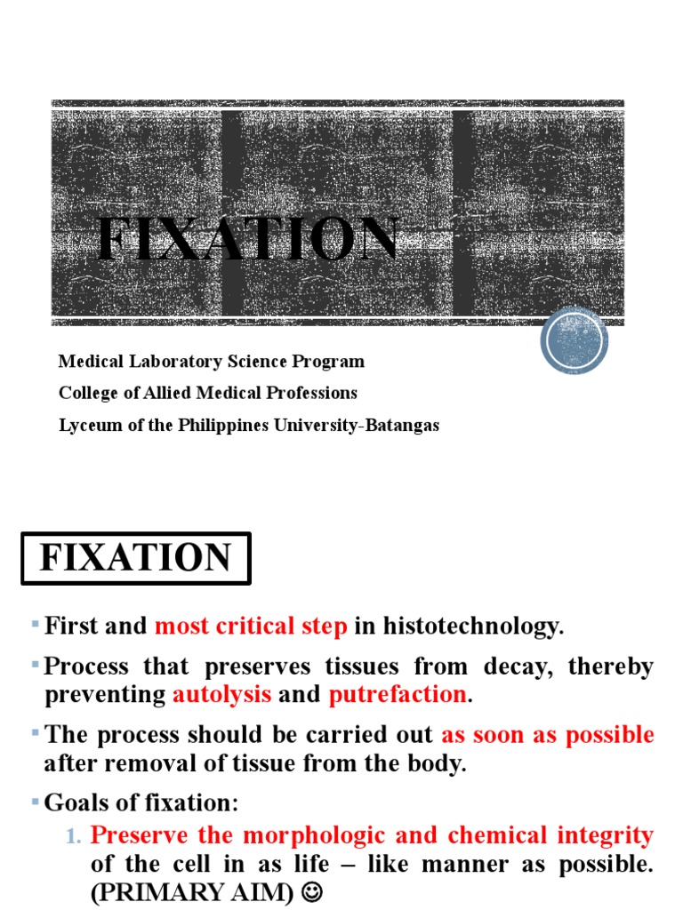 Fixation PDF Fixation (Histology) Staining