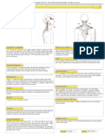 Muscle Page Upper Trapezius 1