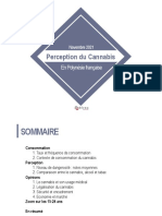 Rapport Perception Du Cannabis Polynésie Française
