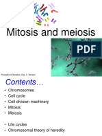 Mitosis and Meiosis1