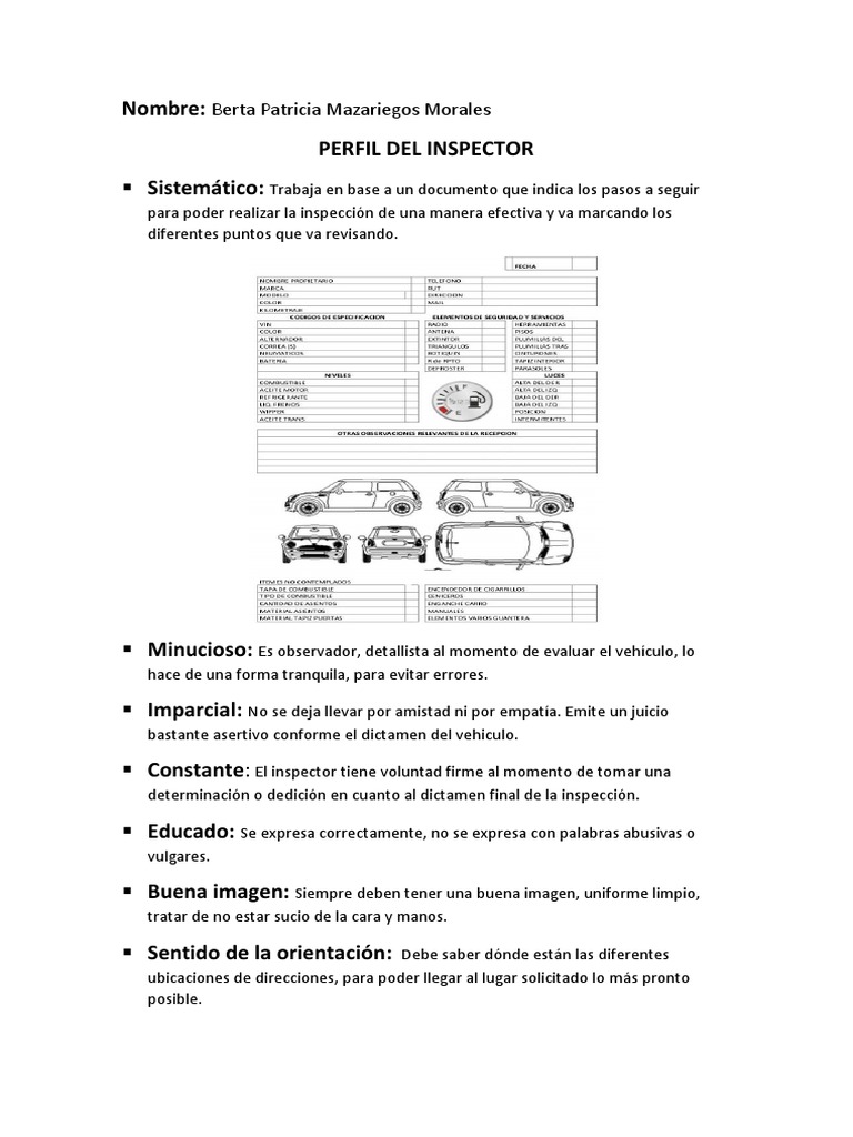 Perfil Del Inspector | PDF