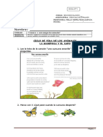 2°BASICO - Guia N°6 Ciclo de La Mariposa y El Sapo