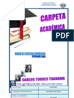 Carpeta Academica Carlos Torres