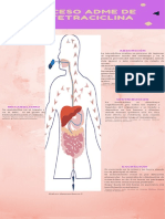 ADME TETRACICLINA