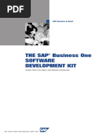 THE SAP® Business One Software Development Kit: SAP Functions in Detail