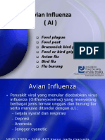 Avian Influenza Dan Gumboro Diseasee
