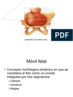 Cabeza Fetal 2015