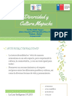 Diversidad Cultura Mapuche