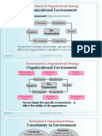 Environment & Organizational Strategy