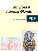 Parathyroid & Adrenal Glands (Wien Wiratmoko)