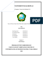 Makalah Kelompok 3 Struktur Pembentuk Kloroplas