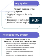 Functional Anatomy-Respiration