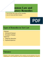 Common Law and Statutory Remedies