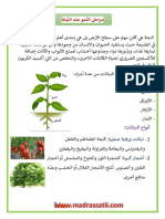 مراحل النمو عند النبتة Madrassatii Com