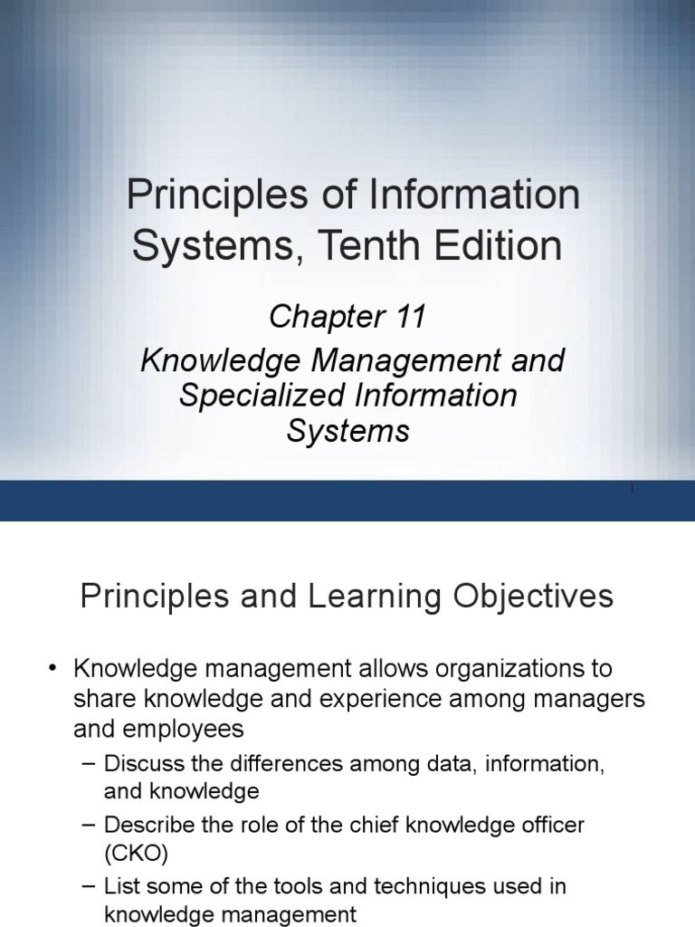 Knowledge Management in Information Systems | PDF | Information System ...