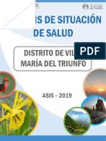 Asis - Distrito Villa Maria El Triunfo 2019