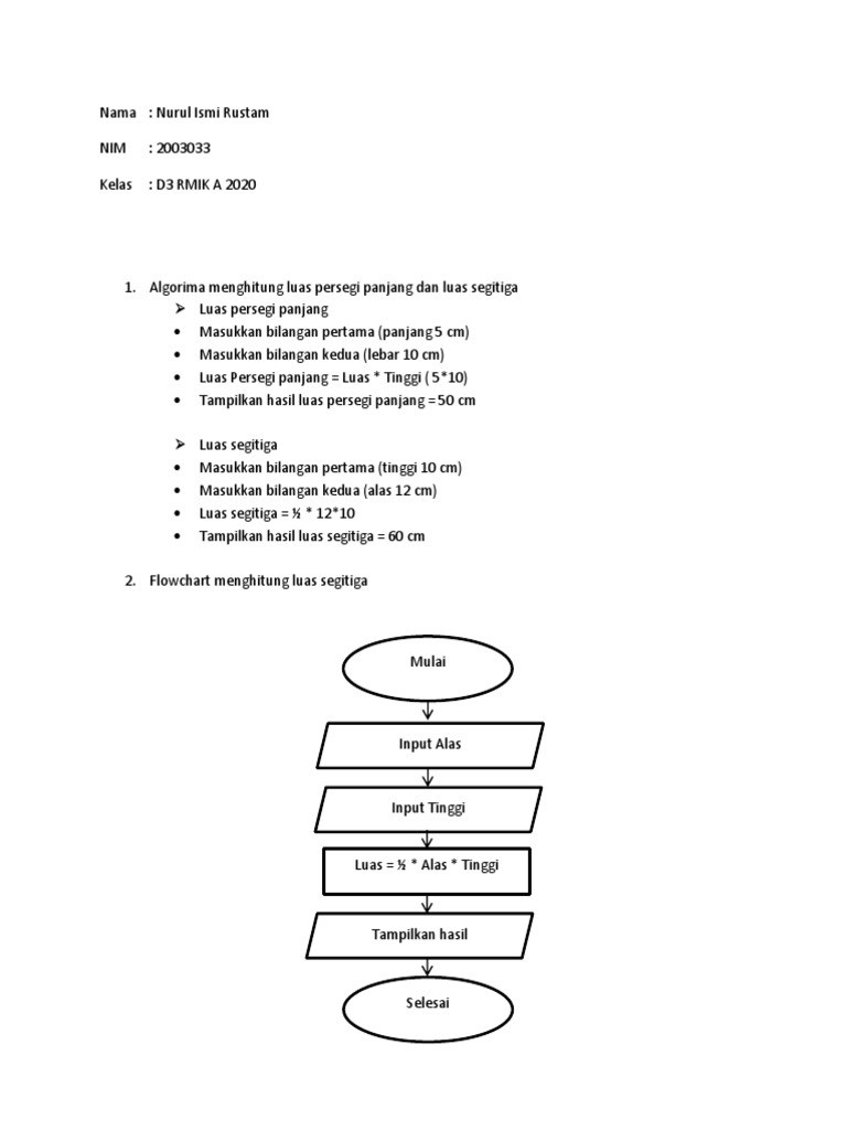 Flowchart Luas Segitiga dan Persegi Panjang | PDF