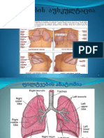 2. ფილტვების აუსკულტაცია მოზრდილებში - 2