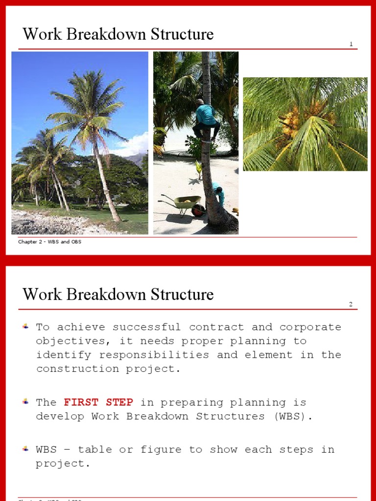 Chapter 2 - Work Breakdown Structure | PDF | Business | Systems Science