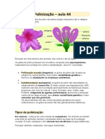 Polinização de Flor de Aglaonema e Diffenbachia, PDF, Flores