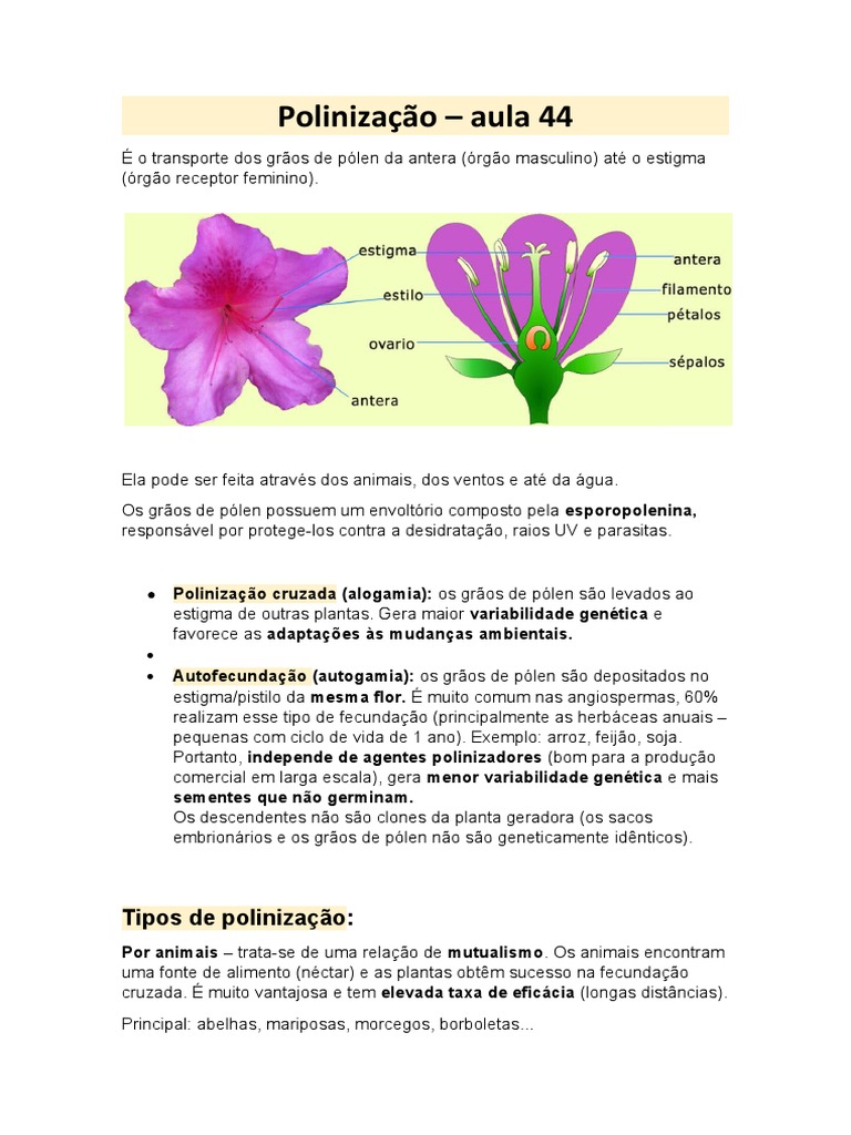 Polinização, PDF, Polinização