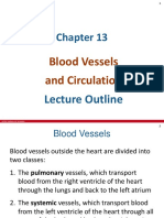 Blood Vessels and Circulation PDF