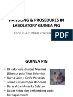 Kuliah Ke-2 (Guinea Pig)
