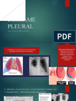 1 Derrame Pleural