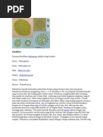 Download bahan lap by Fajar Iman SN54033967 doc pdf