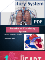 Circulatory System: by Inaya Raheel Bachalni