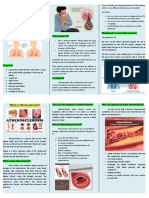 What Is Tuberculosis?