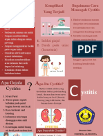 Leaflet Cystitis