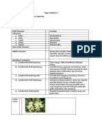 Tugas Farmakognosi Bunga Kamboja