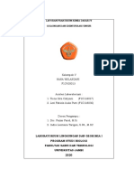 Laporan Praktikum Kimia Dasar Iv Golongan Dan Identifikasi Unsur