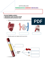 Lks Sistem Peredaran Darah Manusia