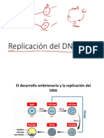 Replicación Del DNA 2021
