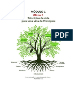 História e fundamentos da Abordagem Educacional Por Princípios