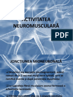 05 Neuromuscular
