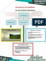 Avance #27 Los Seres Vivos en Un Ecosistema