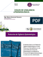 Vigilancia Integral V